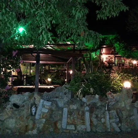 Guest Flirt Golden Sands