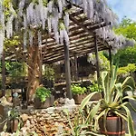 Guest Flirt Hotel