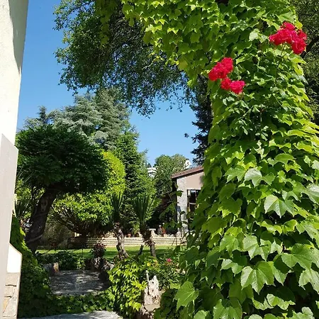 Ξενοδοχείο Guest Flirt *