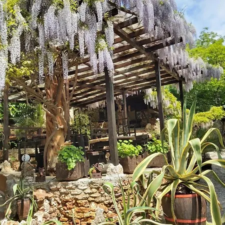 Guest Flirt Ξενοδοχείο