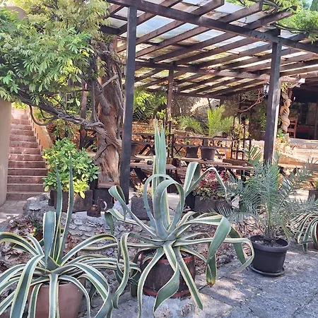 Guest Flirt Хотел Златни пясъци