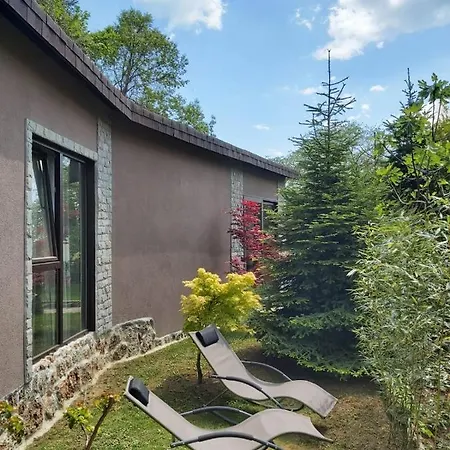 Guest Flirt Златни пясъци