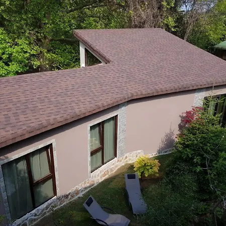 Guest Flirt Златни пясъци