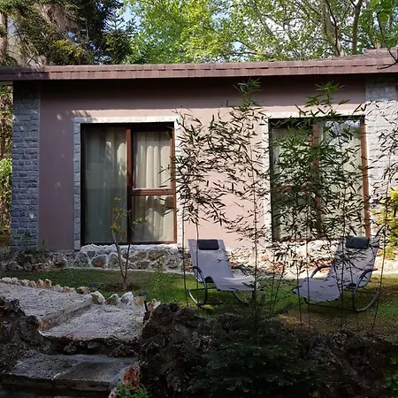 Guest Flirt Хотел Златни пясъци