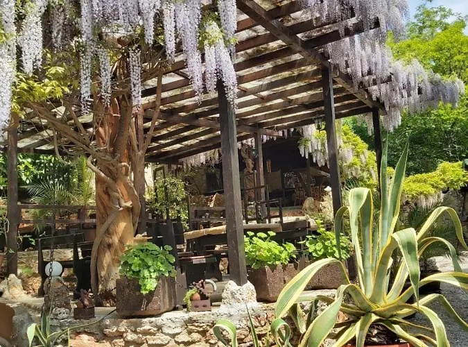 Guest Flirt מלון