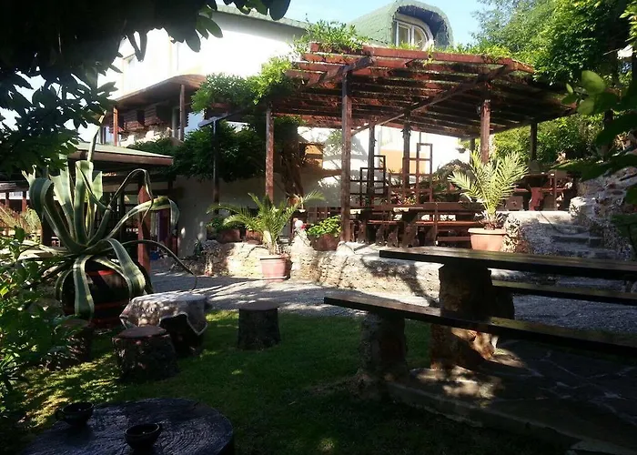 מלון Guest Flirt