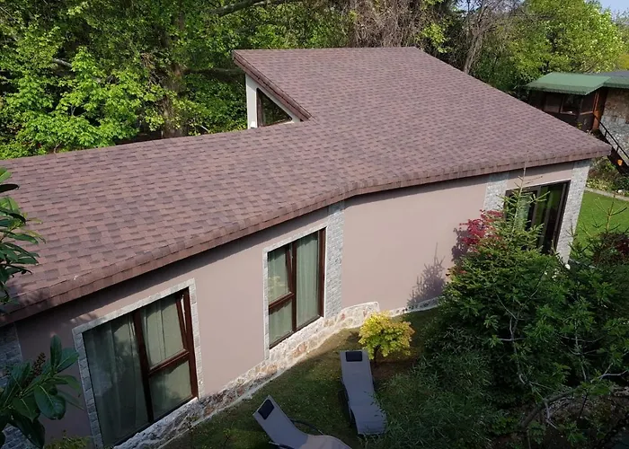 Guest Flirt Sables d'or