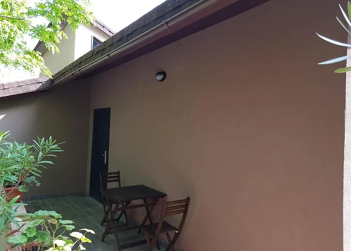 Guest Flirt מלון *